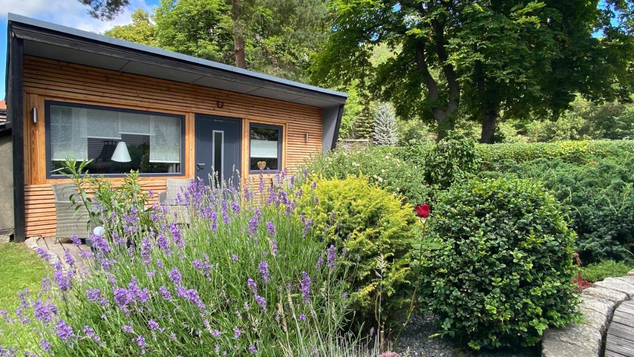 Das Ferienhaus Am Tiergarten 韦尼格罗德 外观 照片